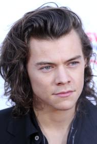 Harry Styles Harry Styles